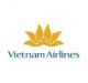 Vietnam Airlines registreeritud pagasi kohvrid